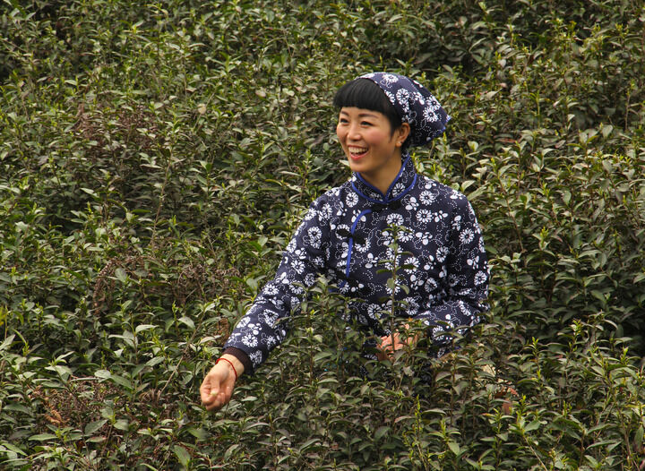 313网主播 蛇蝎美人